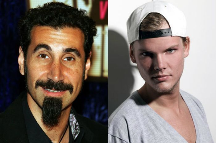 Dance-ul si rock-ul se intalnesc: Avicii coopteaza solisti celebri pentru noul sau album